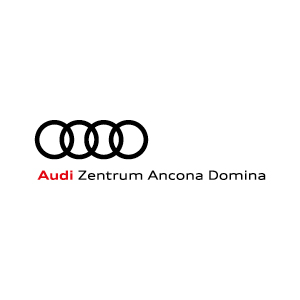 Loghi Partner Sito Audi Smart